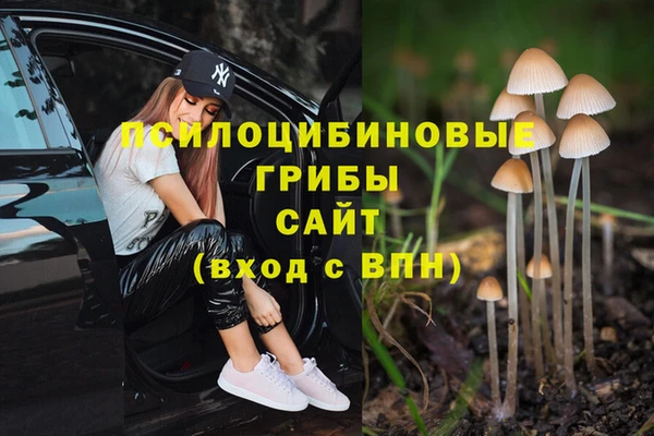 стафф Баксан